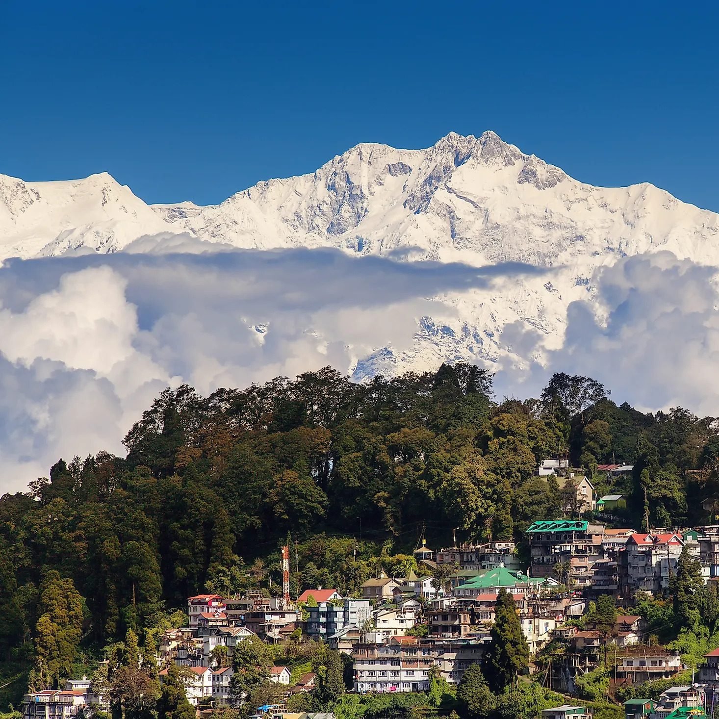 Darjeeling Full Day Sightseeing