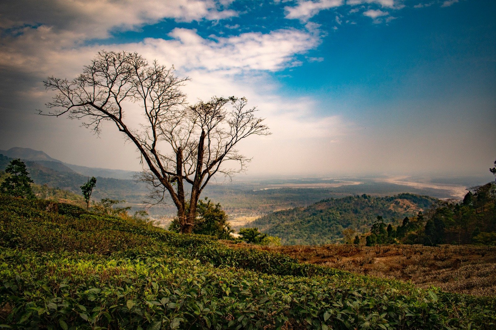 Mirik Full Day Sightseeing