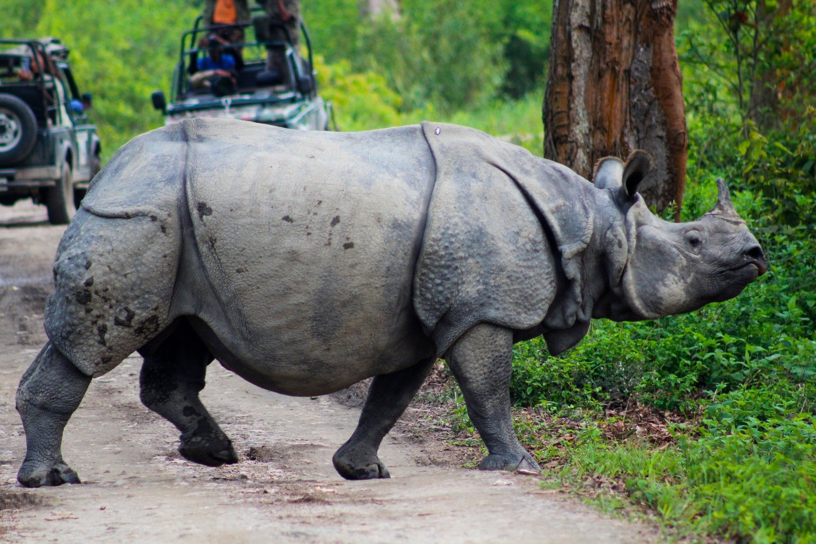 2N Shillong 2N Kaziranga