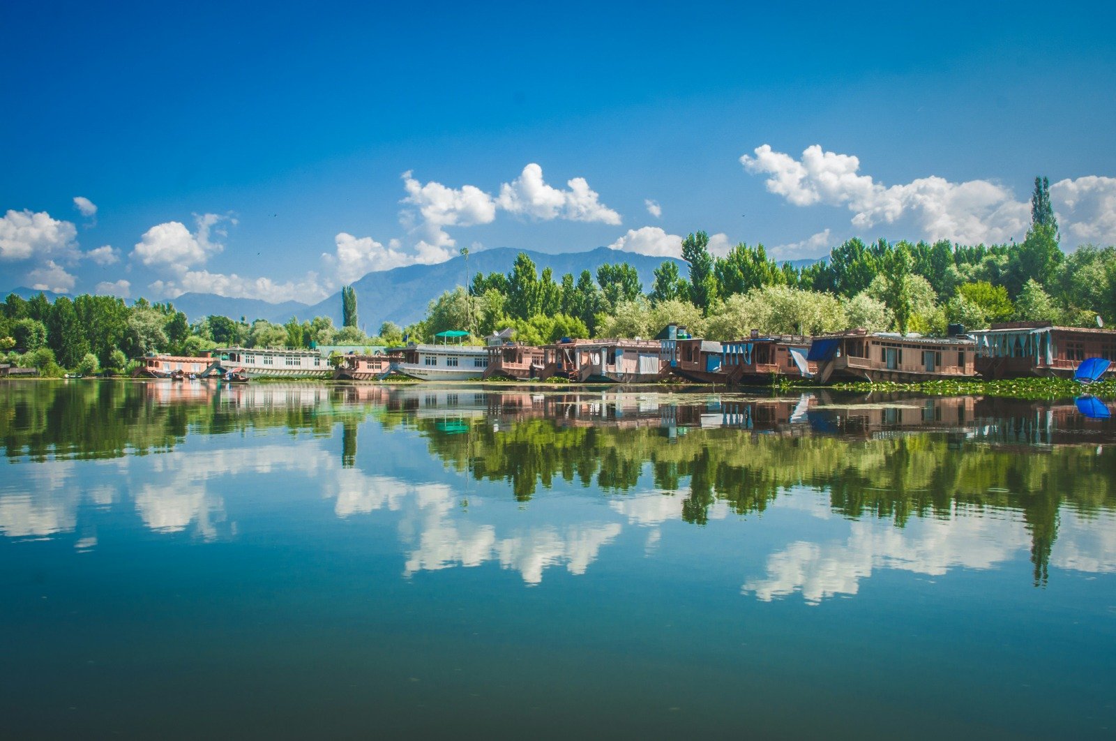 Journey through Kashmir: Gardens to Glaciers with Nestled Holidays